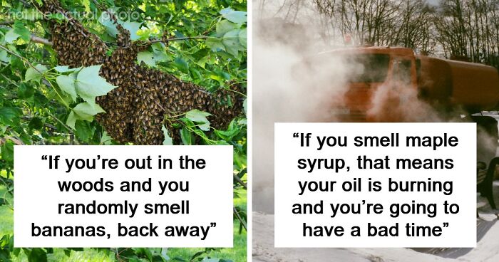 “Literally Saved My Life”: 57 Odors You Should Never Ever Dismiss