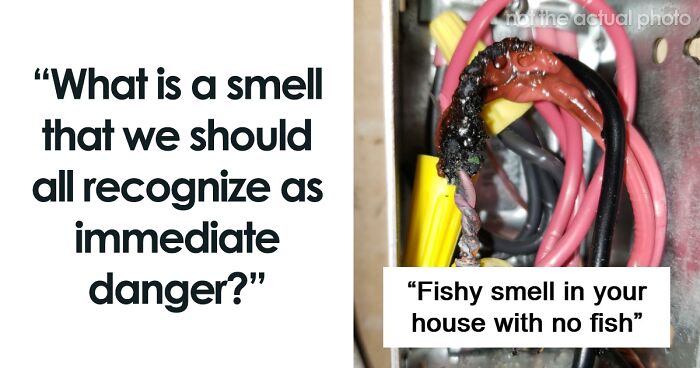 “Literally Saved My Life”: 57 Odors You Should Never Ever Dismiss