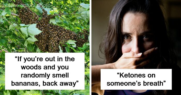 “Literally Saved My Life”: 57 Odors You Should Never Ever Dismiss