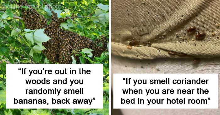 “Literally Saved My Life”: 57 Odors You Should Never Ever Dismiss