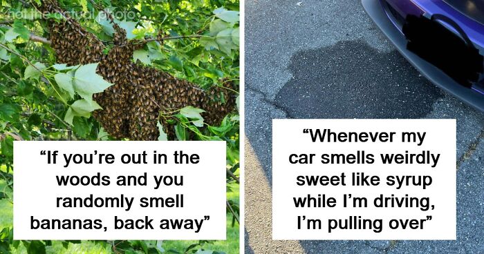 “Literally Saved My Life”: 57 Odors You Should Never Ever Dismiss