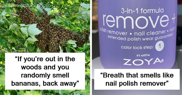 “Literally Saved My Life”: 57 Odors You Should Never Ever Dismiss