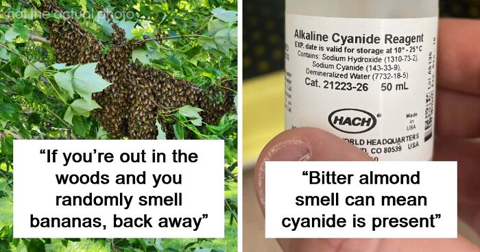 “Literally Saved My Life”: 57 Odors You Should Never Ever Dismiss