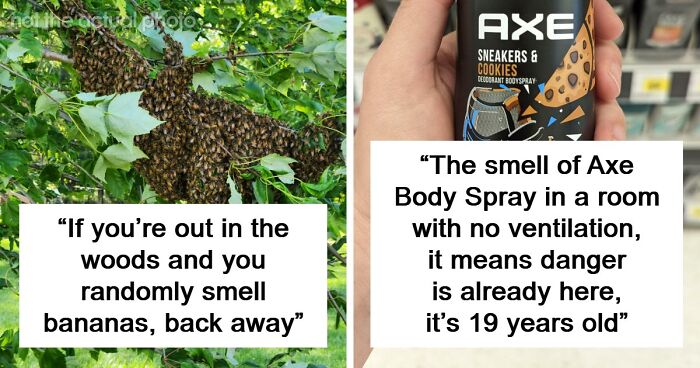 “Literally Saved My Life”: 57 Odors You Should Never Ever Dismiss