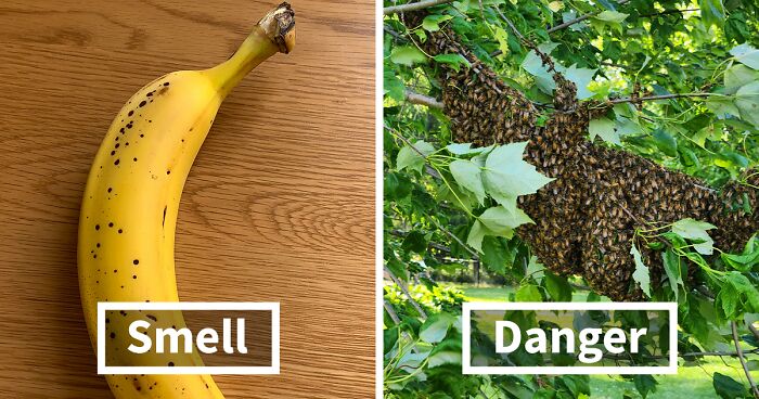 “Literally Saved My Life”: 57 Odors You Should Never Ever Dismiss