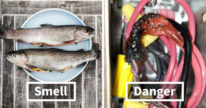 “Literally Saved My Life”: 57 Odors You Should Never Ever Dismiss