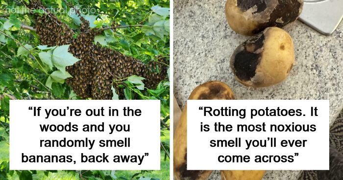 “Literally Saved My Life”: 57 Odors You Should Never Ever Dismiss