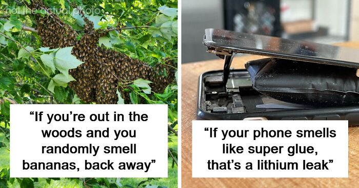 “Literally Saved My Life”: 57 Odors You Should Never Ever Dismiss