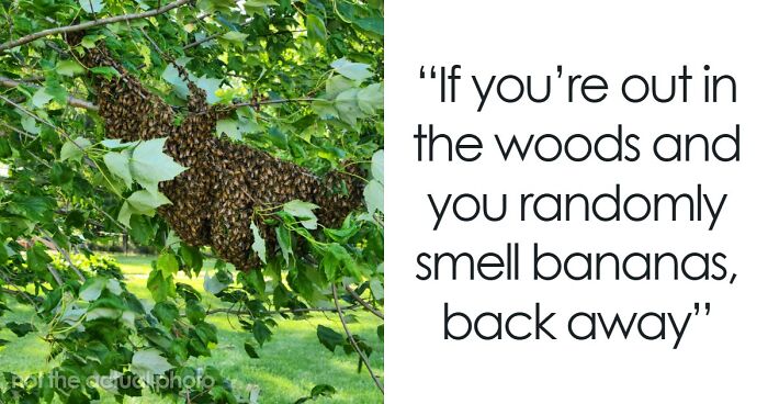 “Literally Saved My Life”: 57 Odors You Should Never Ever Dismiss