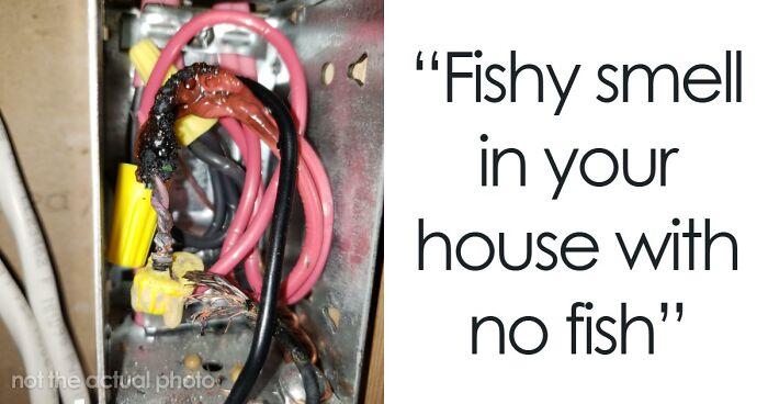 “Literally Saved My Life”: 57 Odors You Should Never Ever Dismiss