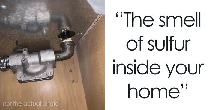 “Literally Saved My Life”: 57 Odors You Should Never Ever Dismiss