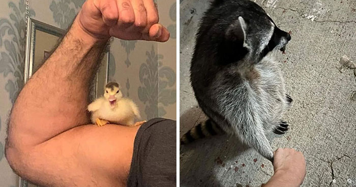 30 Times Humans And Animals Formed The Most Unexpectedly Beautiful Bonds (New Pics)
