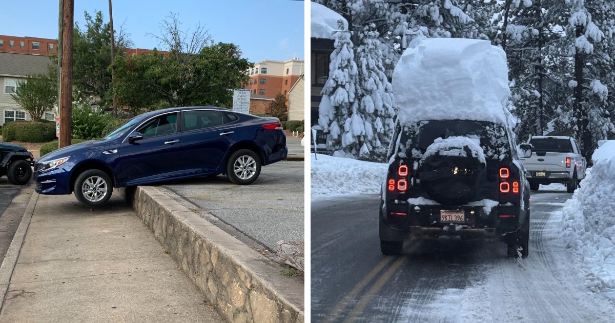 People Are Shaming Dumb Drivers And These 56 Are Unbelievable (New Pics)