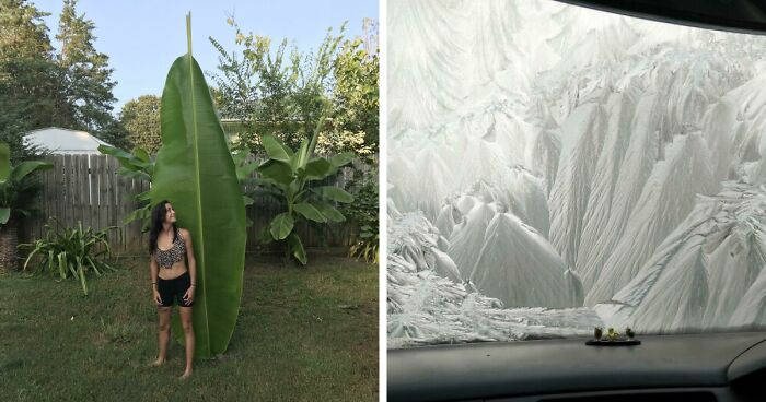 69 Nature Pics That Are As Interesting As They Are Beautiful