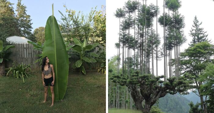 “Nature Never Ceases To Amaze”: 69 Fascinating Photos That Show A Different Side Of The Great Outdoors