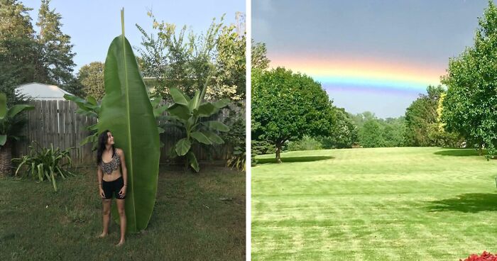 “Nature Never Ceases To Amaze”: 69 Fascinating Photos That Show A Different Side Of The Great Outdoors