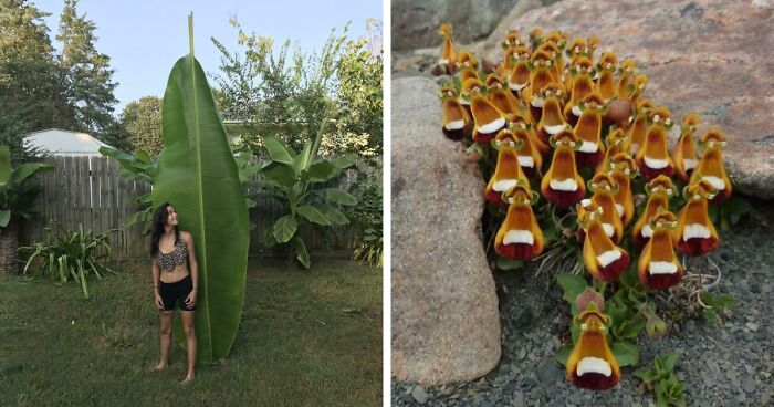 69 Nature Pics That Are As Interesting As They Are Beautiful