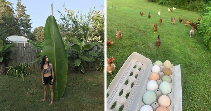 69 Nature Pics That Are As Interesting As They Are Beautiful