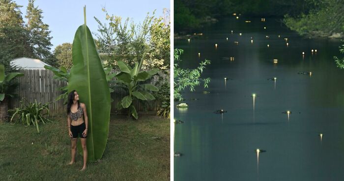 69 Nature Pics That Are As Interesting As They Are Beautiful