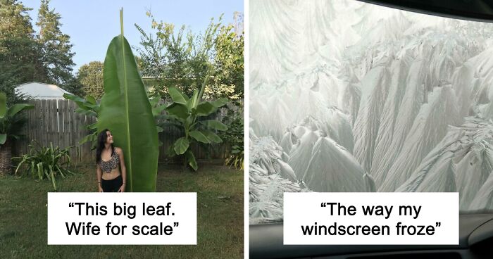 69 Nature Pics That Are As Interesting As They Are Beautiful