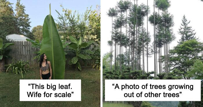 69 Nature Pics That Are As Interesting As They Are Beautiful