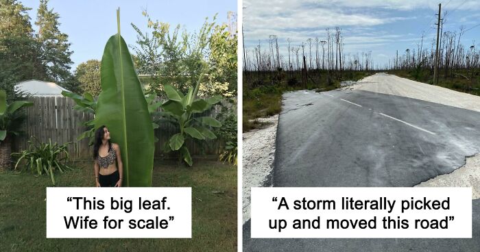 69 Nature Pics That Are As Interesting As They Are Beautiful