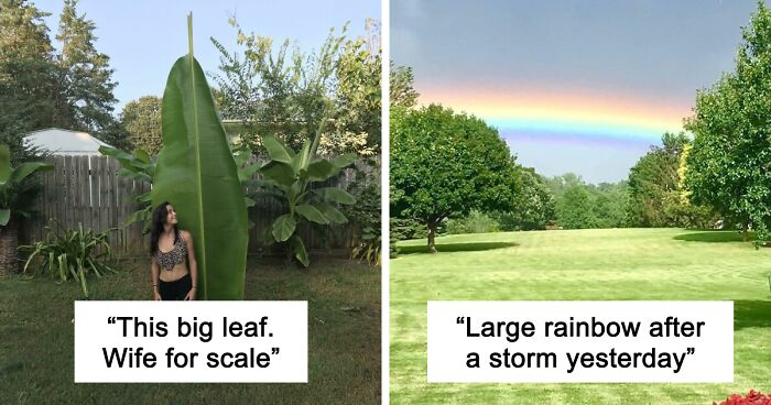 “Nature Never Ceases To Amaze”: 69 Fascinating Photos That Show A Different Side Of The Great Outdoors