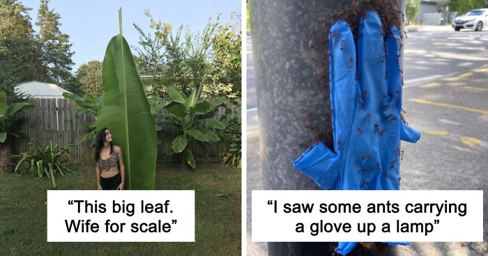 69 Nature Pics That Are As Interesting As They Are Beautiful