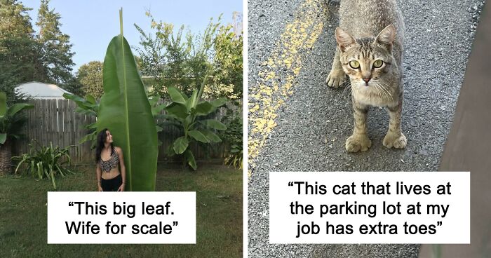 69 Nature Pics That Are As Interesting As They Are Beautiful