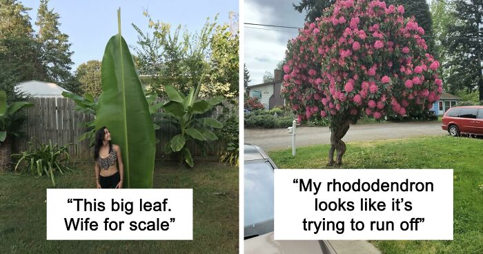 69 Nature Pics That Are As Interesting As They Are Beautiful