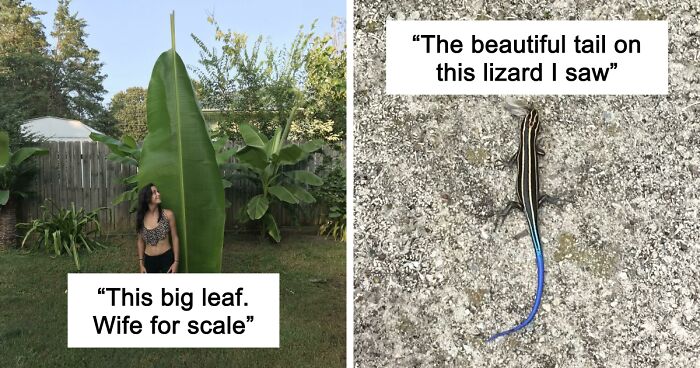 69 Nature Pics That You Have Probably Never Seen Before