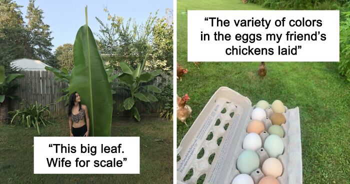 69 Nature Pics That Are As Interesting As They Are Beautiful