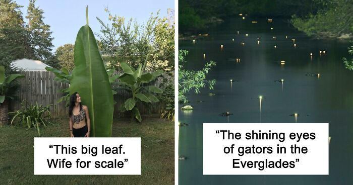 “Nature Never Ceases To Amaze”: 69 Fascinating Photos That Show A Different Side Of The Great Outdoors