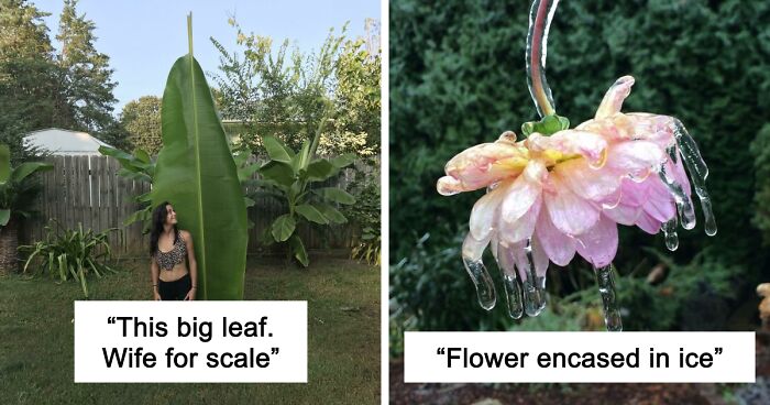 “Nature Never Ceases To Amaze”: 69 Fascinating Photos That Show A Different Side Of The Great Outdoors