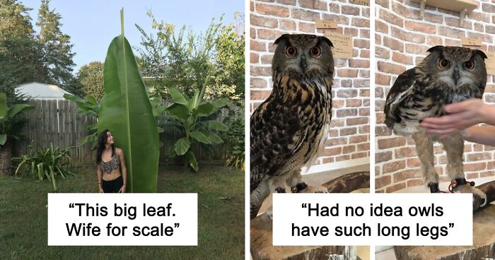 69 Nature Pics That Are As Interesting As They Are Beautiful