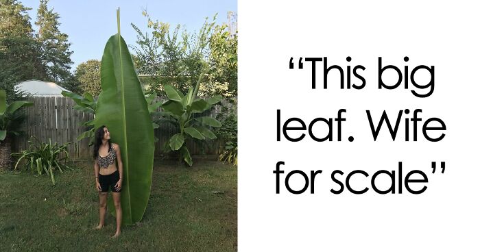 69 Nature Pics That Are As Interesting As They Are Beautiful