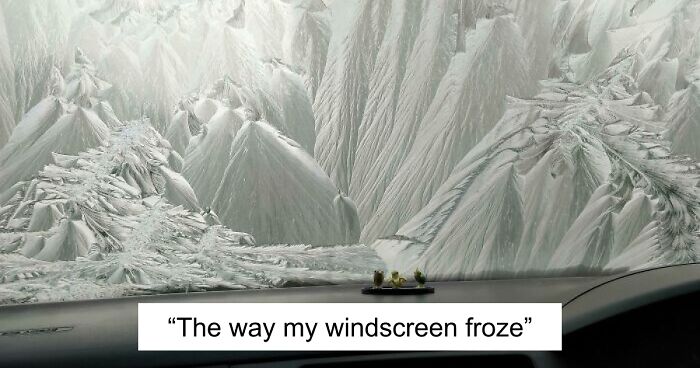 69 Nature Pics That Are As Interesting As They Are Beautiful