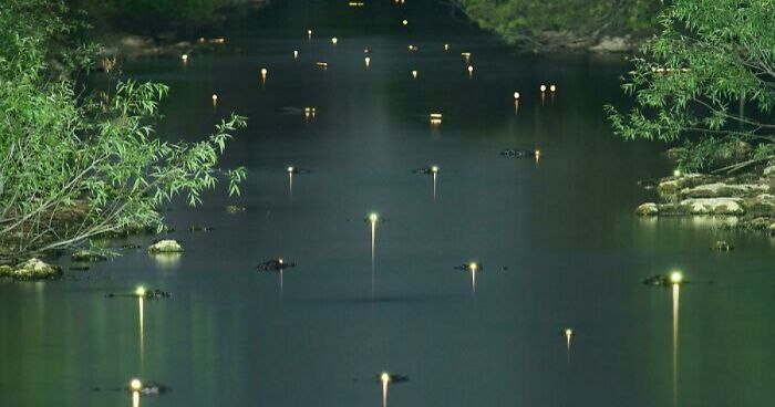 69 Nature Pics That Are As Interesting As They Are Beautiful