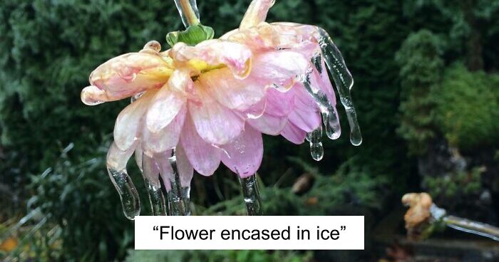 69 Nature Pics That Are As Interesting As They Are Beautiful