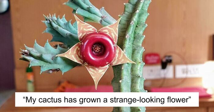 69 Nature Pics That Are As Interesting As They Are Beautiful