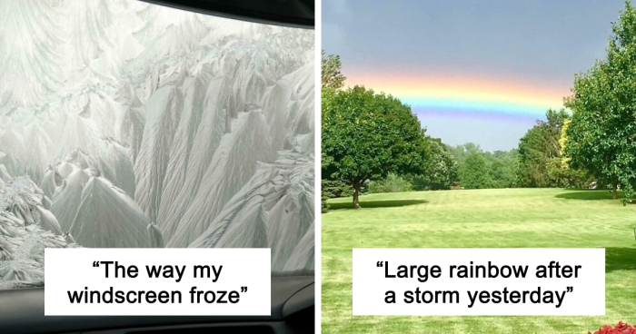 69 Nature Pics That Are As Interesting As They Are Beautiful