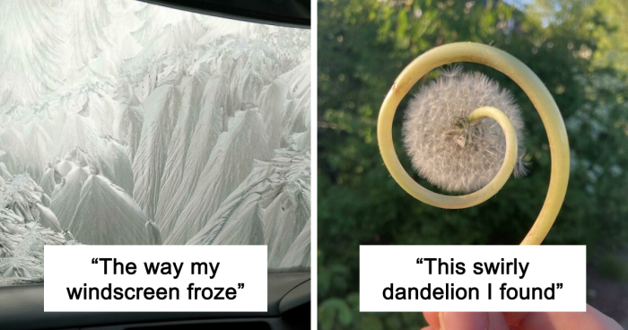 69 Nature Pics That You Have Probably Never Seen Before