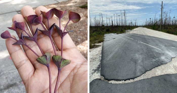 69 Nature Pics That Are As Interesting As They Are Beautiful