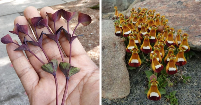 69 Nature Pics That Are As Interesting As They Are Beautiful