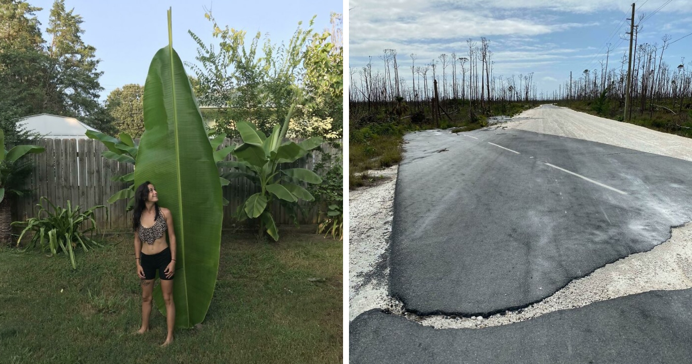 69 Nature Pics That Are As Interesting As They Are Beautiful