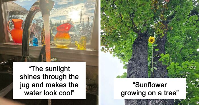 88 Interesting And Odd Pics That You Might Want To See