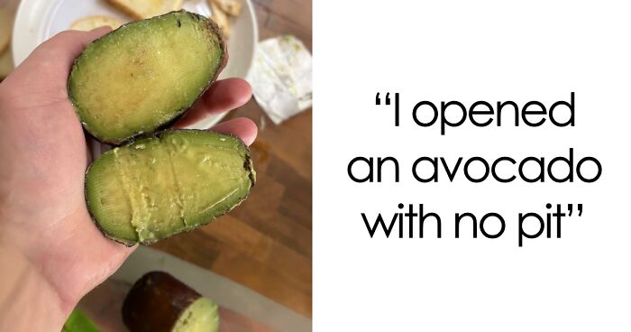 88 Interesting And Odd Pics That You Might Want To See