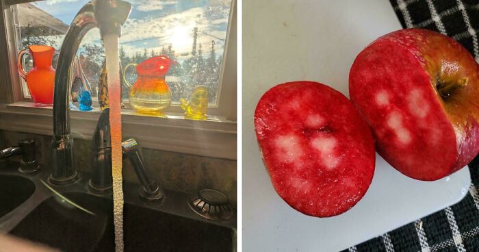 88 Interesting And Odd Pics That You Might Want To See