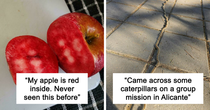 88 Interesting And Odd Pics That You Might Want To See