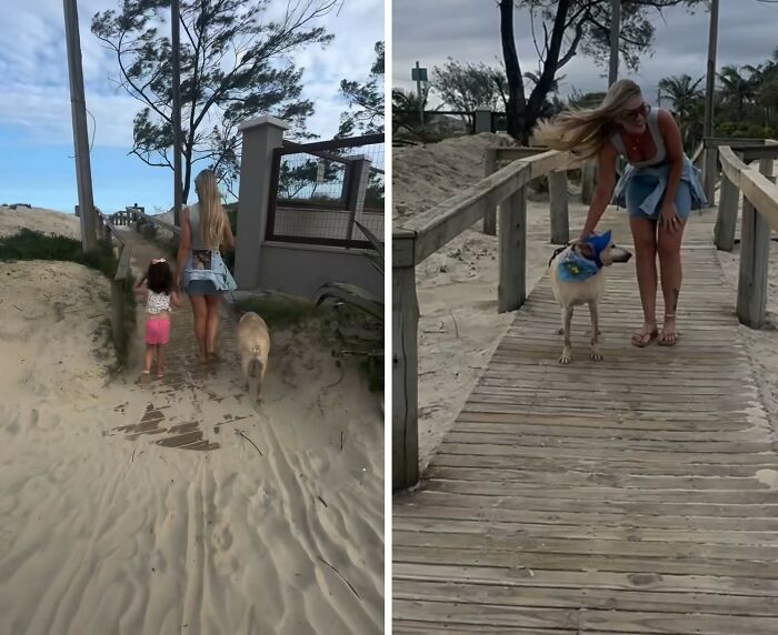 This Senior Dog Waited Years In A Shelter Until One Man Finally Gave Him A Home